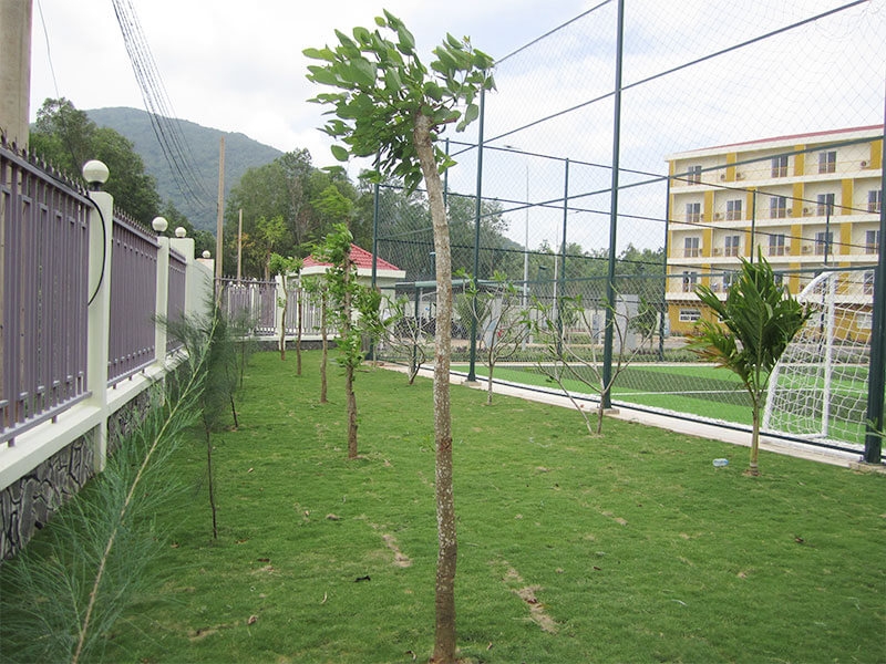 Cây xanh Nhà máy thép POSCO SS-Vina